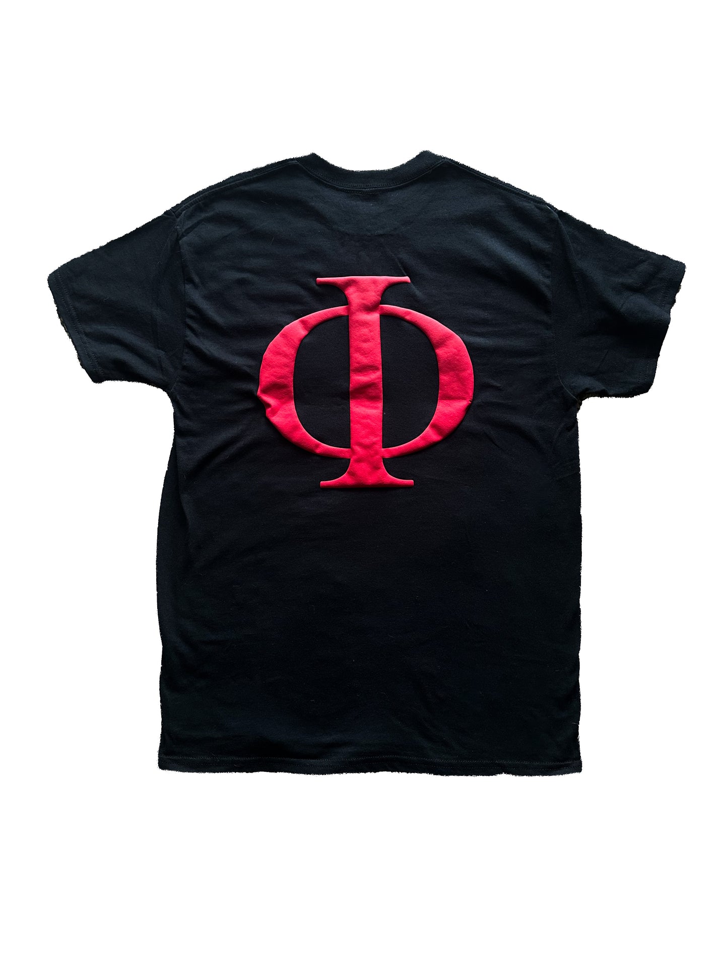 Decepticujo Puff Print Tee