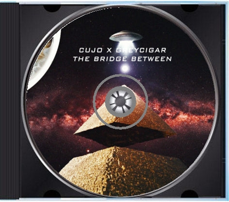 The Bridge Between Physical CD